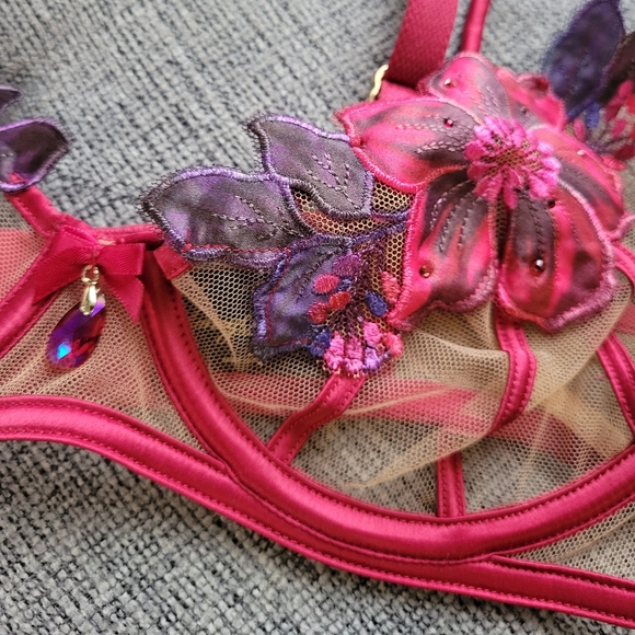 NWT Honey Birdette Marymay Bra and Garter Size 34D XS - Picture 2 of 12